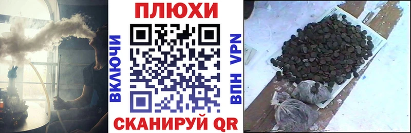 Купить где  Куртамыш  ГАШ hashish 