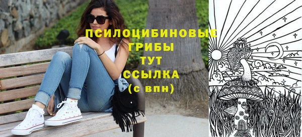мет Бородино